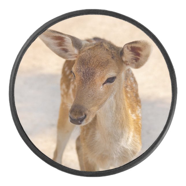 Baby Deer Hockey Puck (Front)