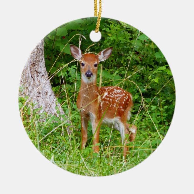 Baby Deer in the Woods Nature Photography Ceramic Ornament (Front)