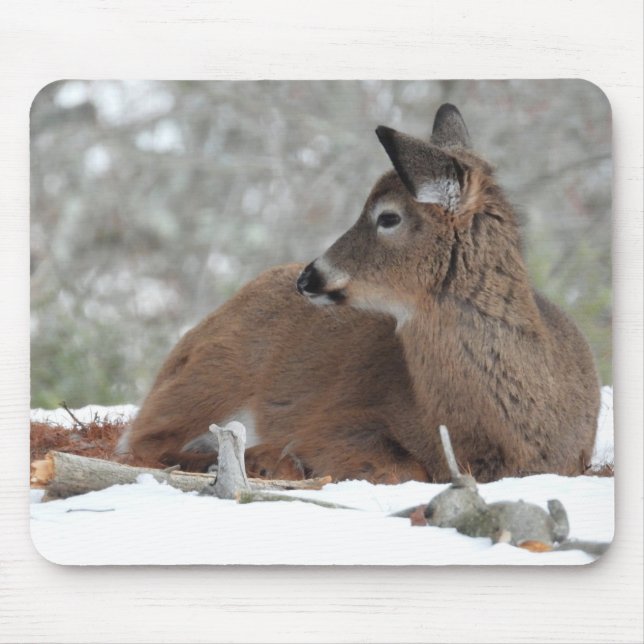 Baby Deer in Winter Coat Mouse Pad (Front)