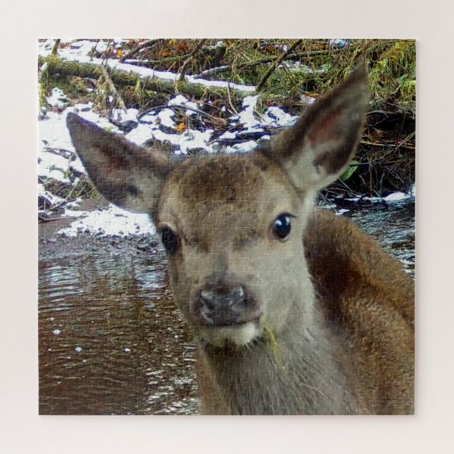 Baby Deer Jigsaw Puzzle (Horizontal)