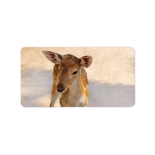 Baby Deer Label (Front)