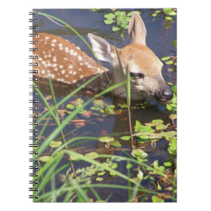 Baby Deer Notebook