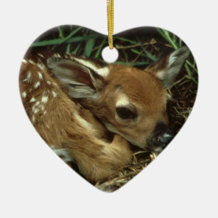 Baby Deer Ornament