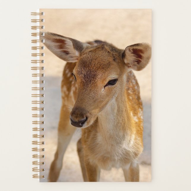 Baby Deer Planner (Front)