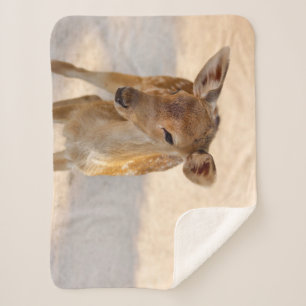 Baby Deer Sherpa Blanket