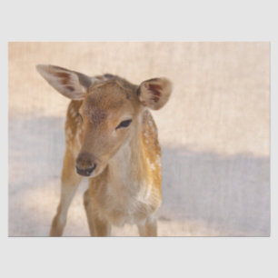 Baby Deer Tissue Paper