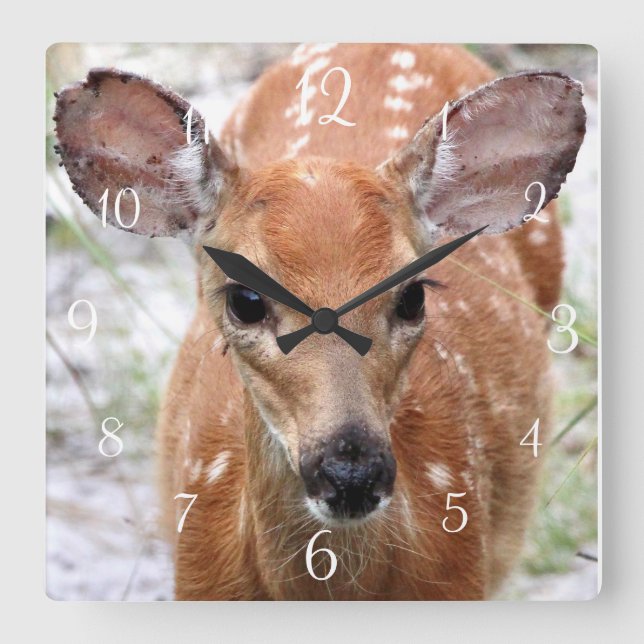 Baby Deer Wall Clock (Front)