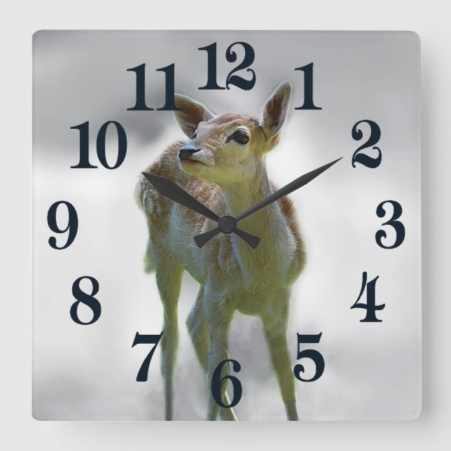 Baby deer's curiosity square wall clock (Front)
