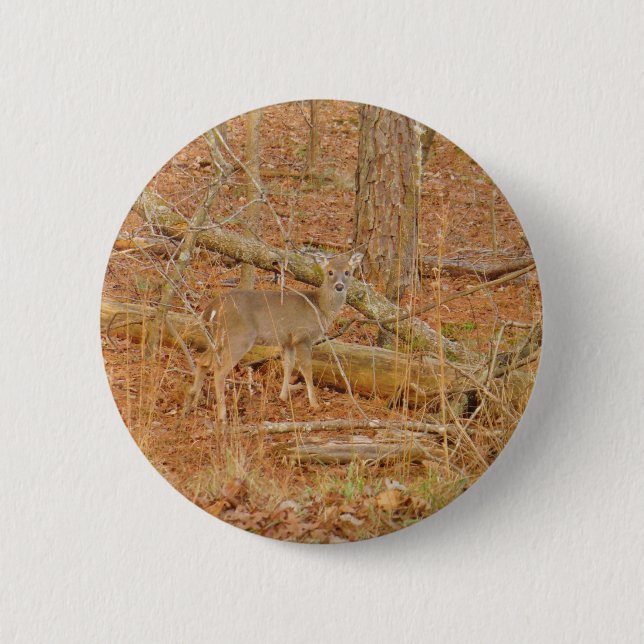 Baby Deer's First  winter 6 Cm Round Badge (Front)