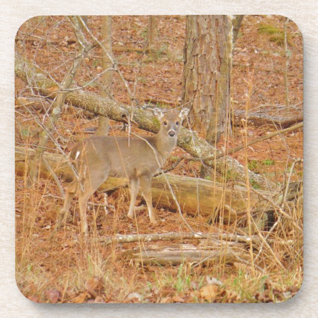 Baby Deer's First  winter Coaster (Front)