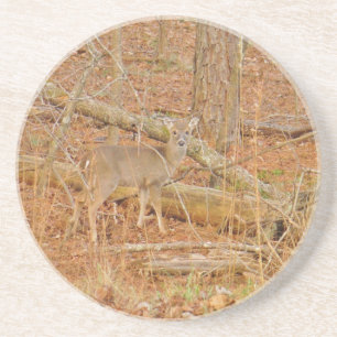 Baby Deer's First winter Coaster