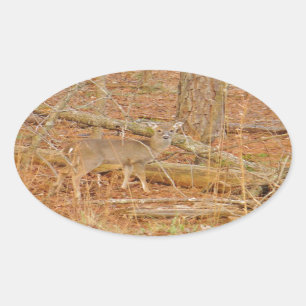 Baby Deer's First winter Oval Sticker