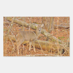 Baby Deer's First winter Rectangular Sticker