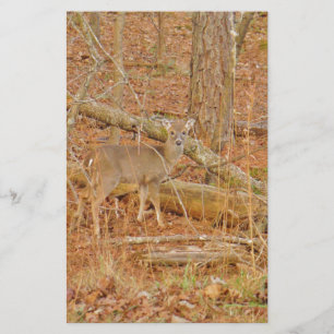 Baby Deer's First winter Stationery