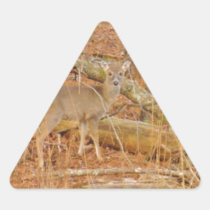 Baby Deer's First winter Triangle Sticker