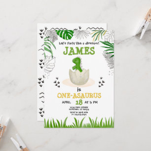 Baby Dinosaur Any Age Birthday Invitation