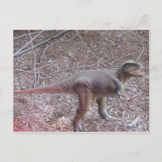 baby dinosaur postcard