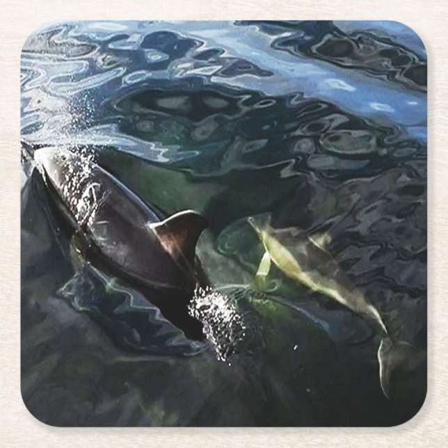 Baby Dolphin With Mom Swimming Ocean Nature Art Square Paper Coaster (Front)