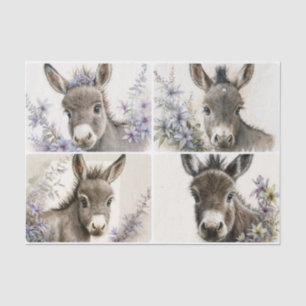 Baby Donkeys  Tissue Paper