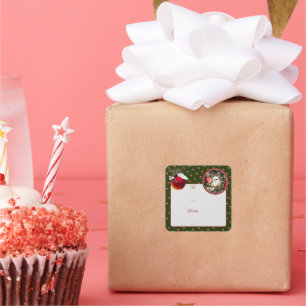 Baby Dove Square Sticker