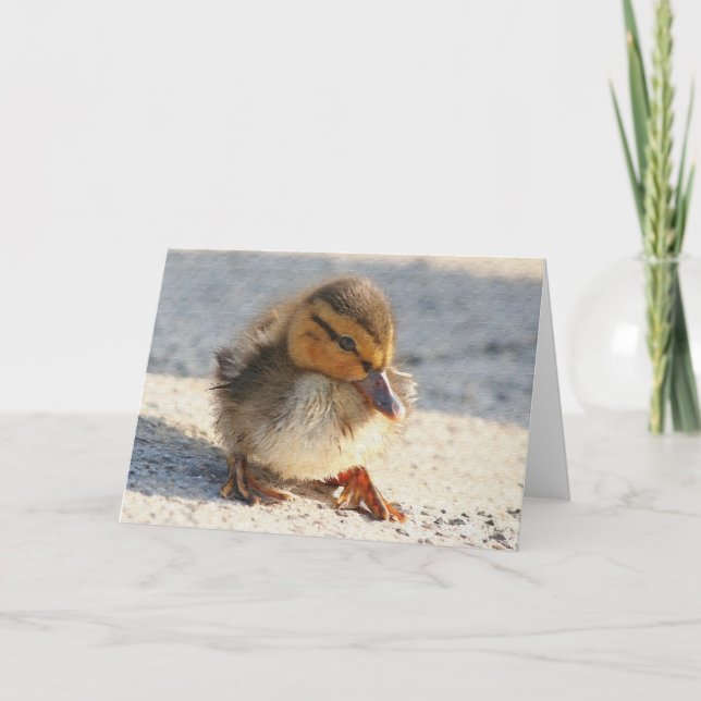 Baby Duck Duckling Card (Front)