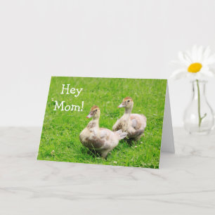 Baby Duck For Mum Birthday Card