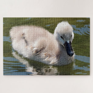 baby duck puzzle 