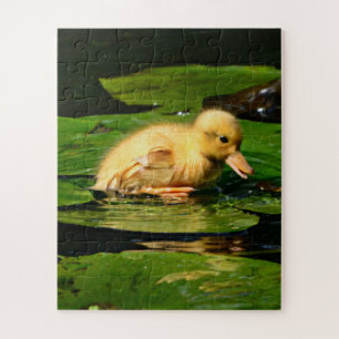 Baby Duck Resting on Lily Pad Jigsaw Puzzle