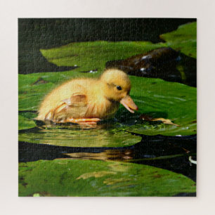 Baby Duck Resting on Lily Pad Jigsaw Puzzle