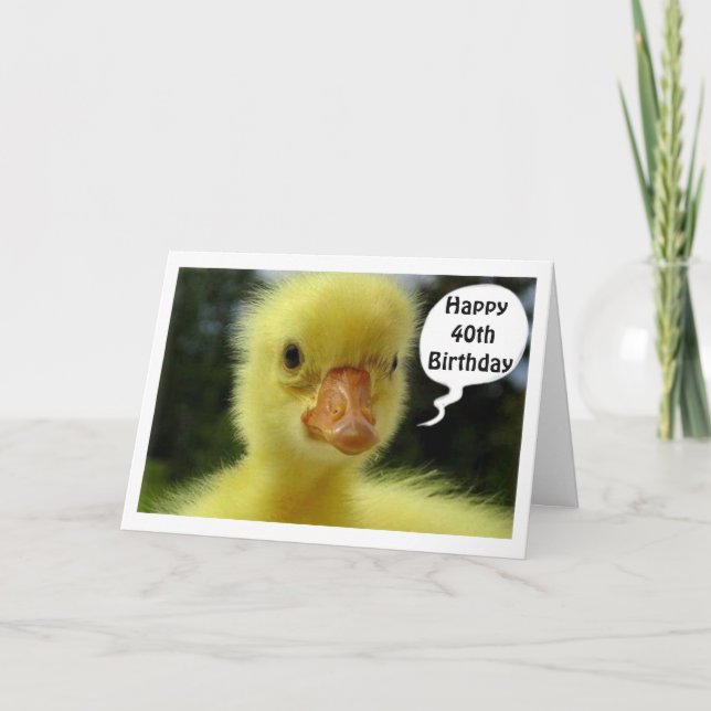 BABY DUCK SAYS HOPE YOUR 40th IS JUST DUCKY Card (Front)