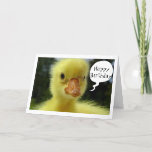 BABY DUCK SAYS HOPE YOUR BIRTHDAY IS JUST DUCKY CARD