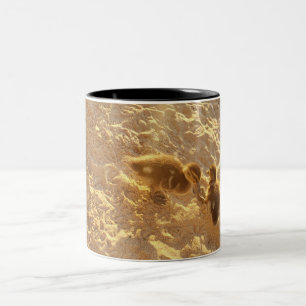 Baby ducks beach Coffee Mugs