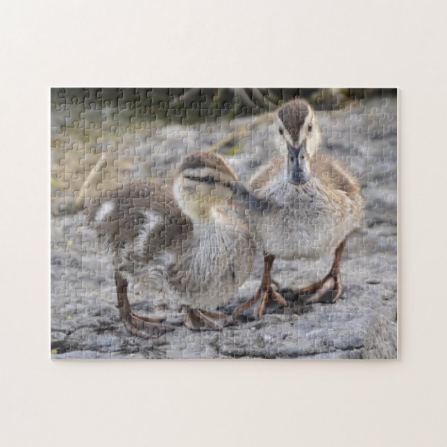 Baby Ducks Jigsaw Puzzle (Horizontal)