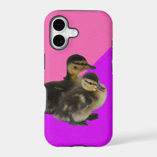 Baby Ducks on Pink Raspberry and Purple Sorbet