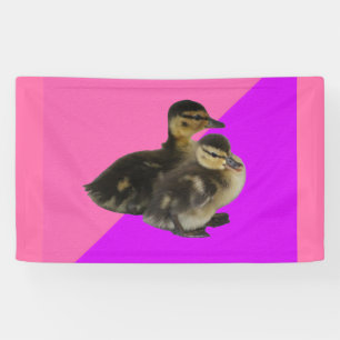 Baby Ducks on Pink Raspberry and Purple Sorbet Banner