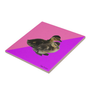 Baby Ducks on Pink Raspberry and Purple Sorbet Ceramic Tile