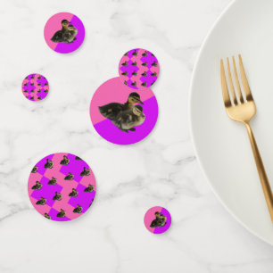 Baby Ducks on Pink Raspberry and Purple Sorbet Confetti