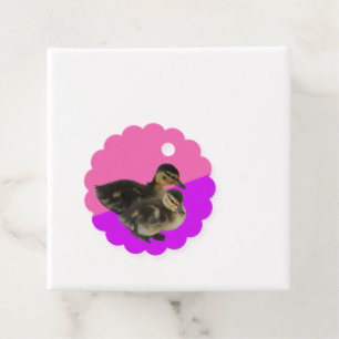Baby Ducks on Pink Raspberry and Purple Sorbet Favour Tags