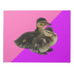 Baby Ducks on Pink Raspberry and Purple Sorbet Notepad