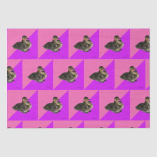 Baby Ducks on Pink Raspberry and Purple Sorbet Tissue Paper