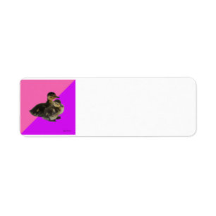 Baby Ducks on Raspberry/Purple Sorbet PERSONALIZE Return Address Label