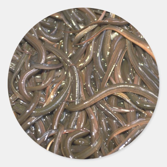 Baby eels classic round sticker (Front)