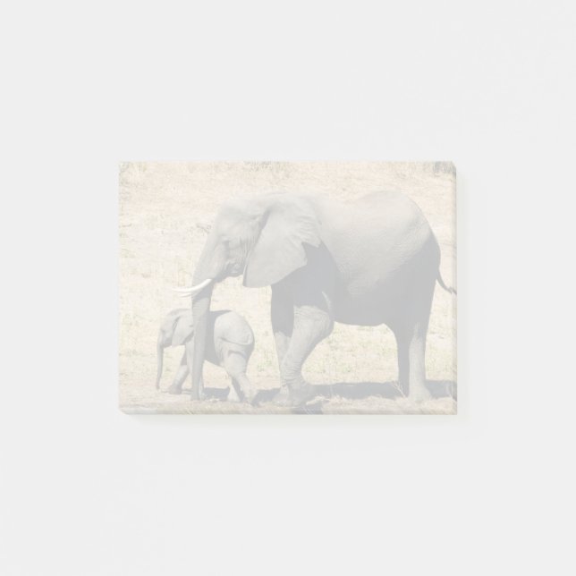Baby Elephant And Mother Post-it Notes (Front)
