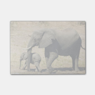 Baby Elephant And Mother Post-it Notes