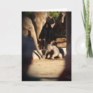 Baby Elephant Birthday Card