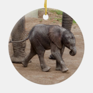 Baby Elephant Ceramic Ornament