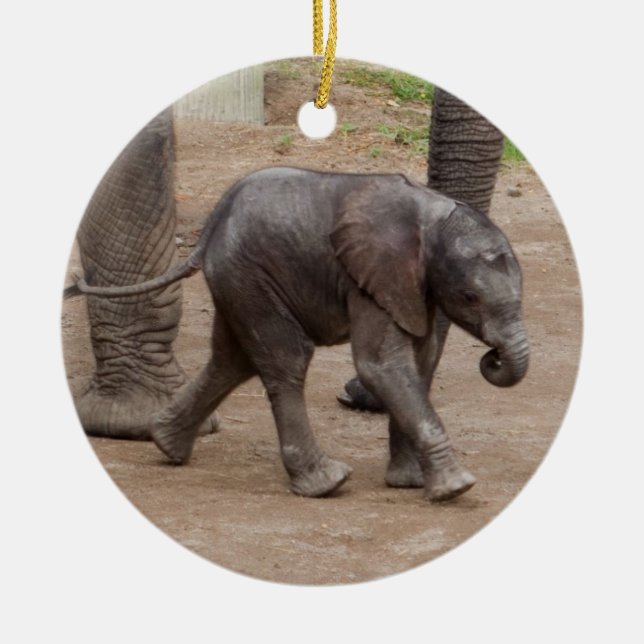 Baby Elephant Ceramic Tree Decoration (Front)