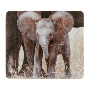 Baby Elephant Cute African Elephant with Mum Cutting Board