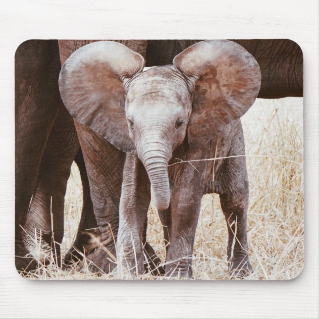 Baby Elephant Cute African Elephant with Mum Mouse Pad (Front)