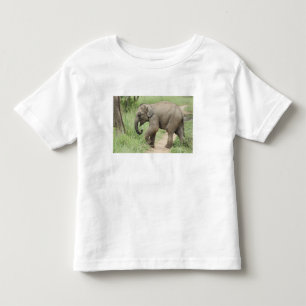 Baby Elephant following the mother,Corbett Toddler T-Shirt